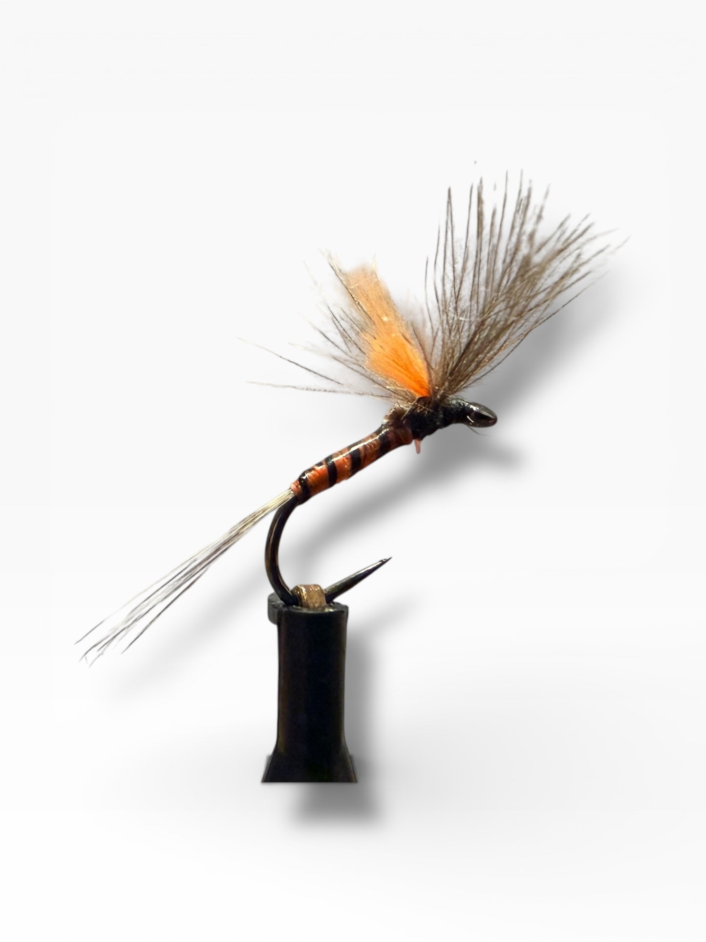 Quill’V brown
