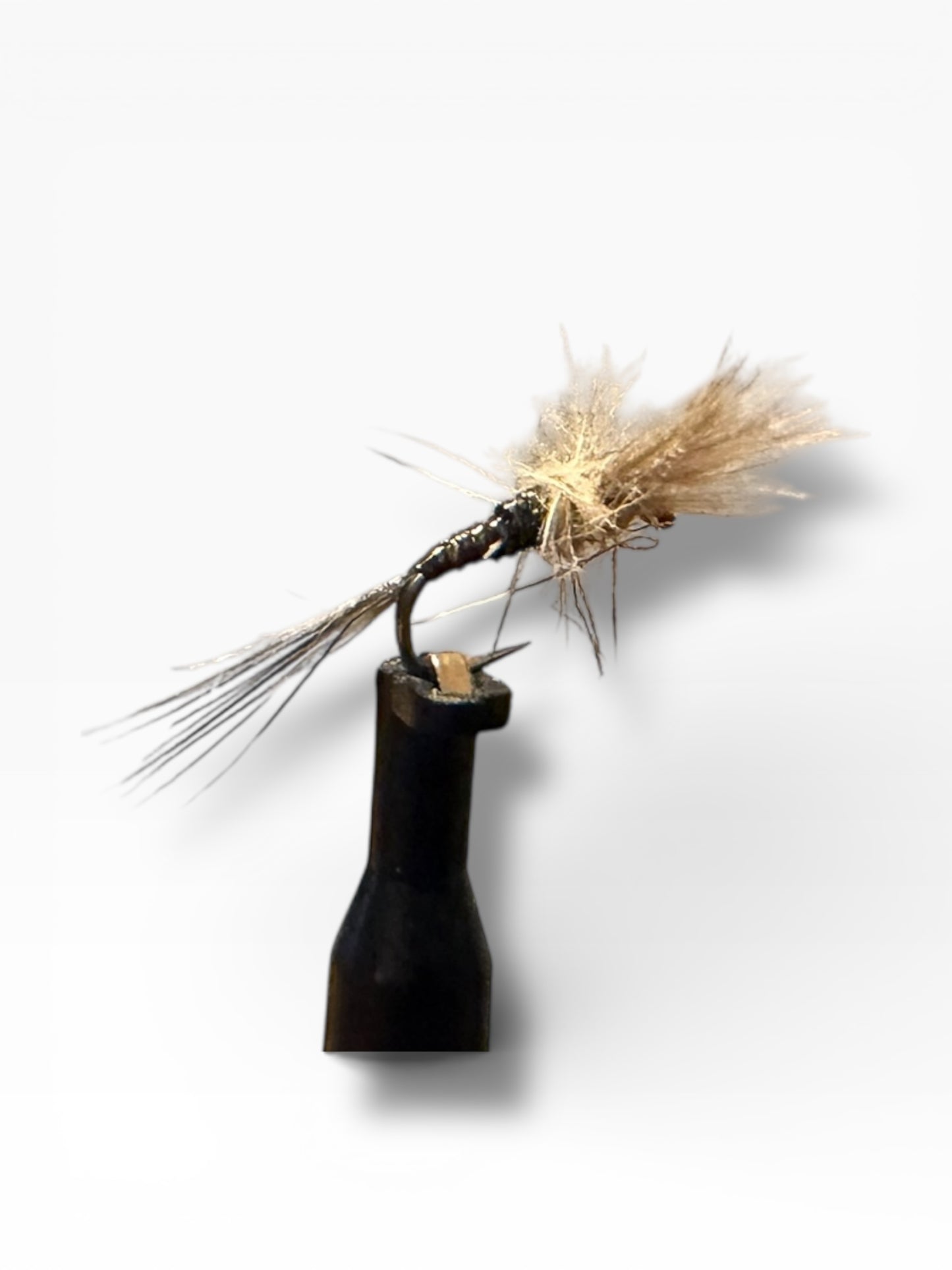 Spent Quill éphémère