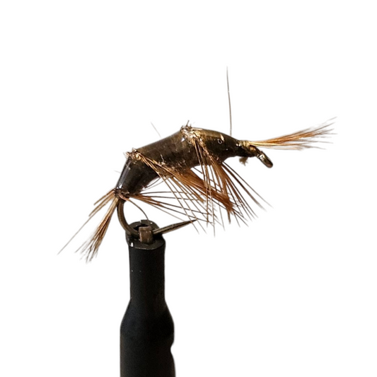 GamGam WILD FLY FISHING