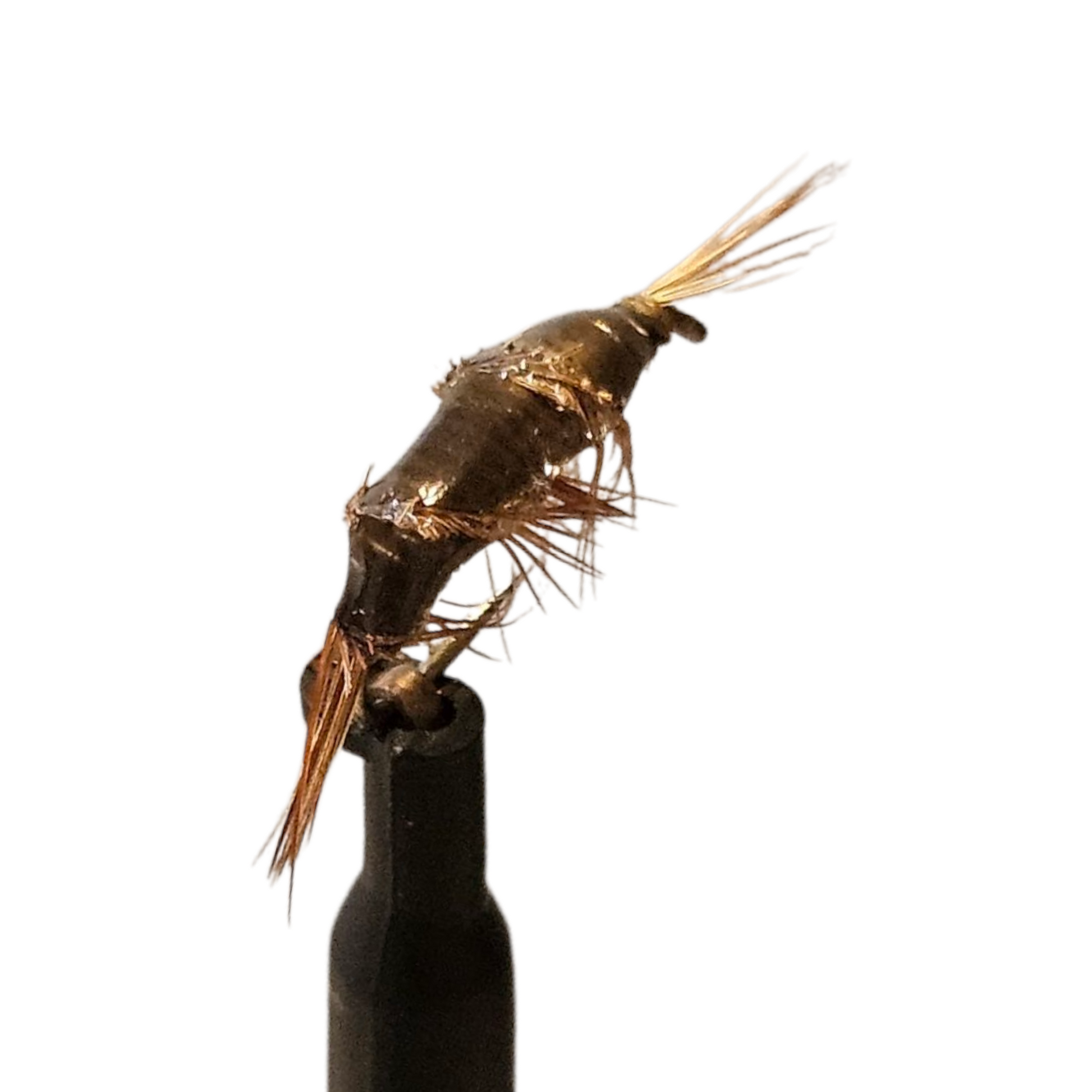 GamGam WILD FLY FISHING