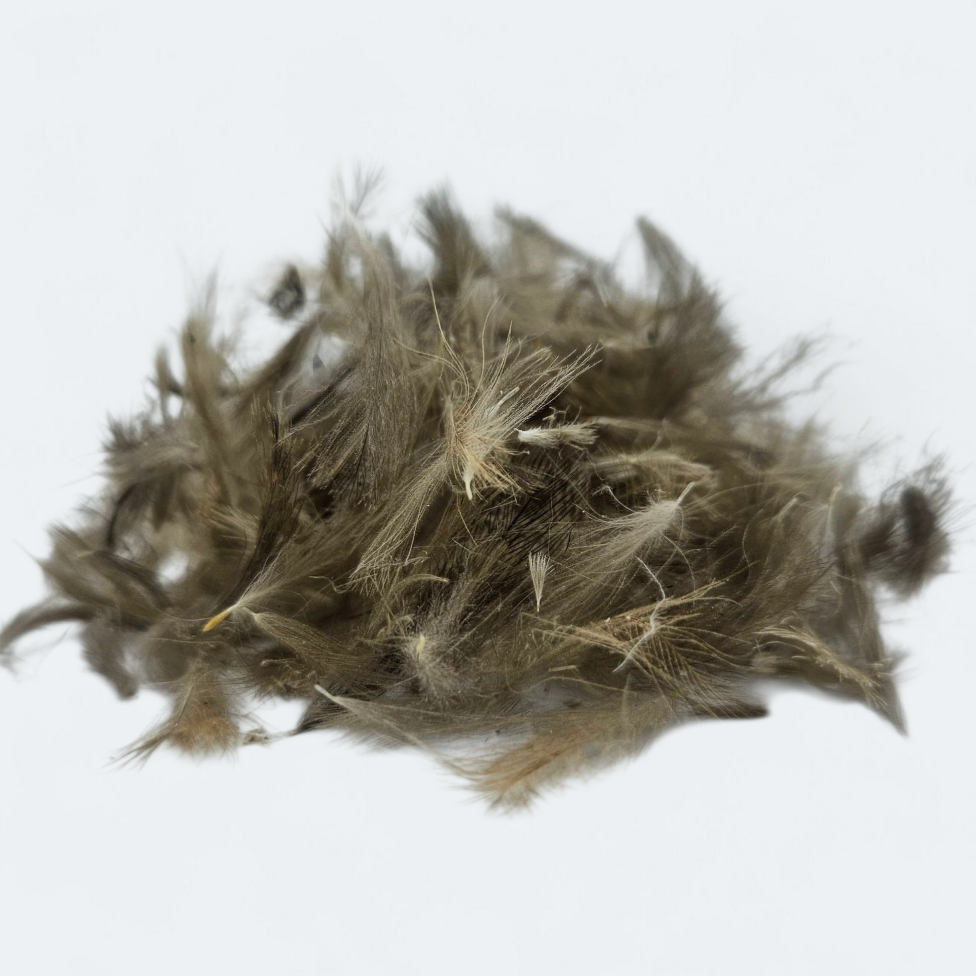 CDC Traité Ultra Dry WILD FLY FISHING