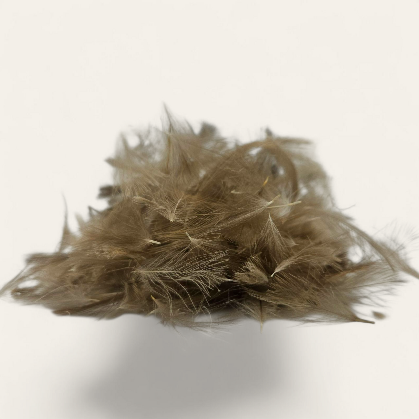 CDC Traité Ultra Dry WILD FLY FISHING