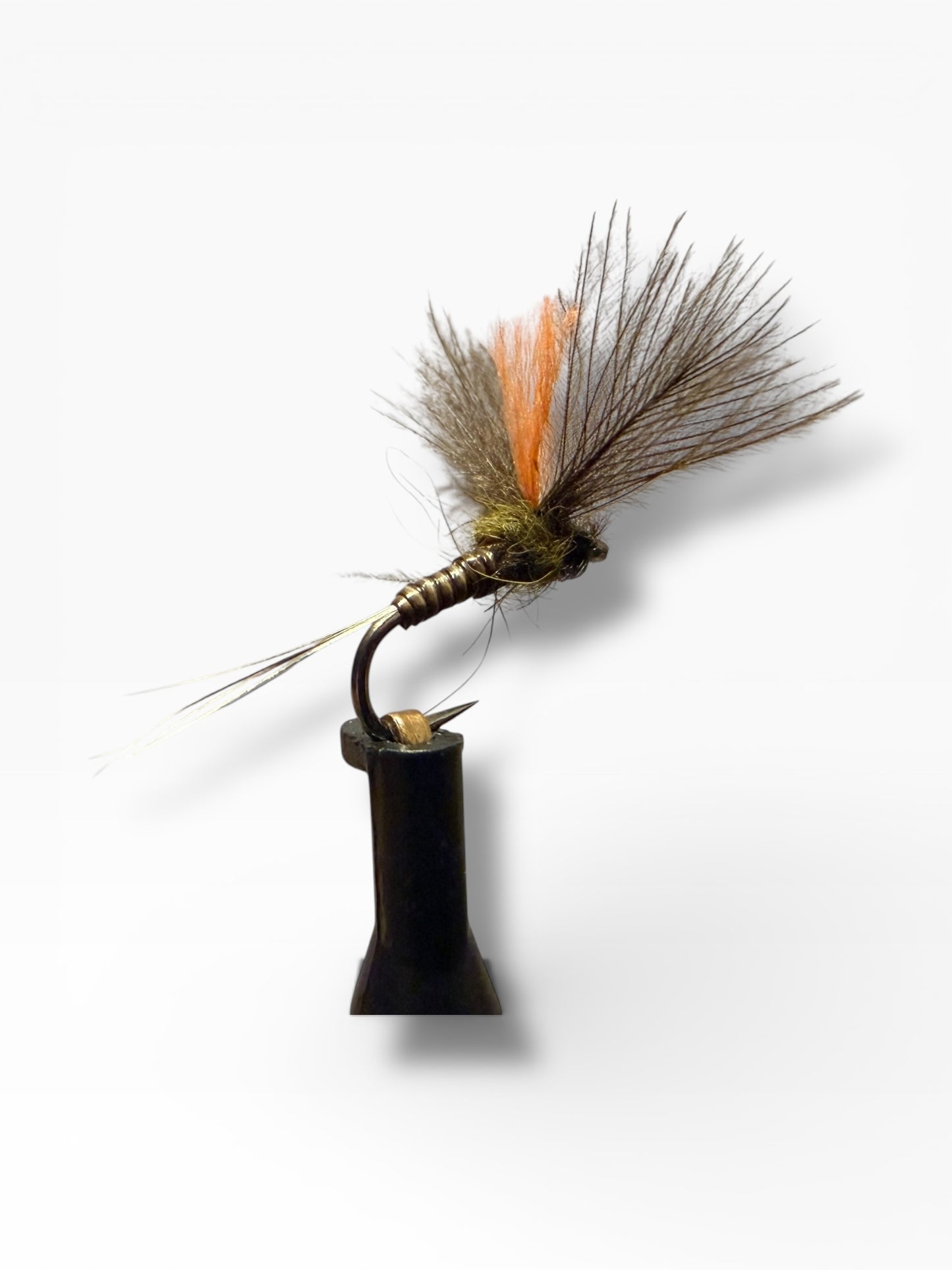 Quill’V Olive