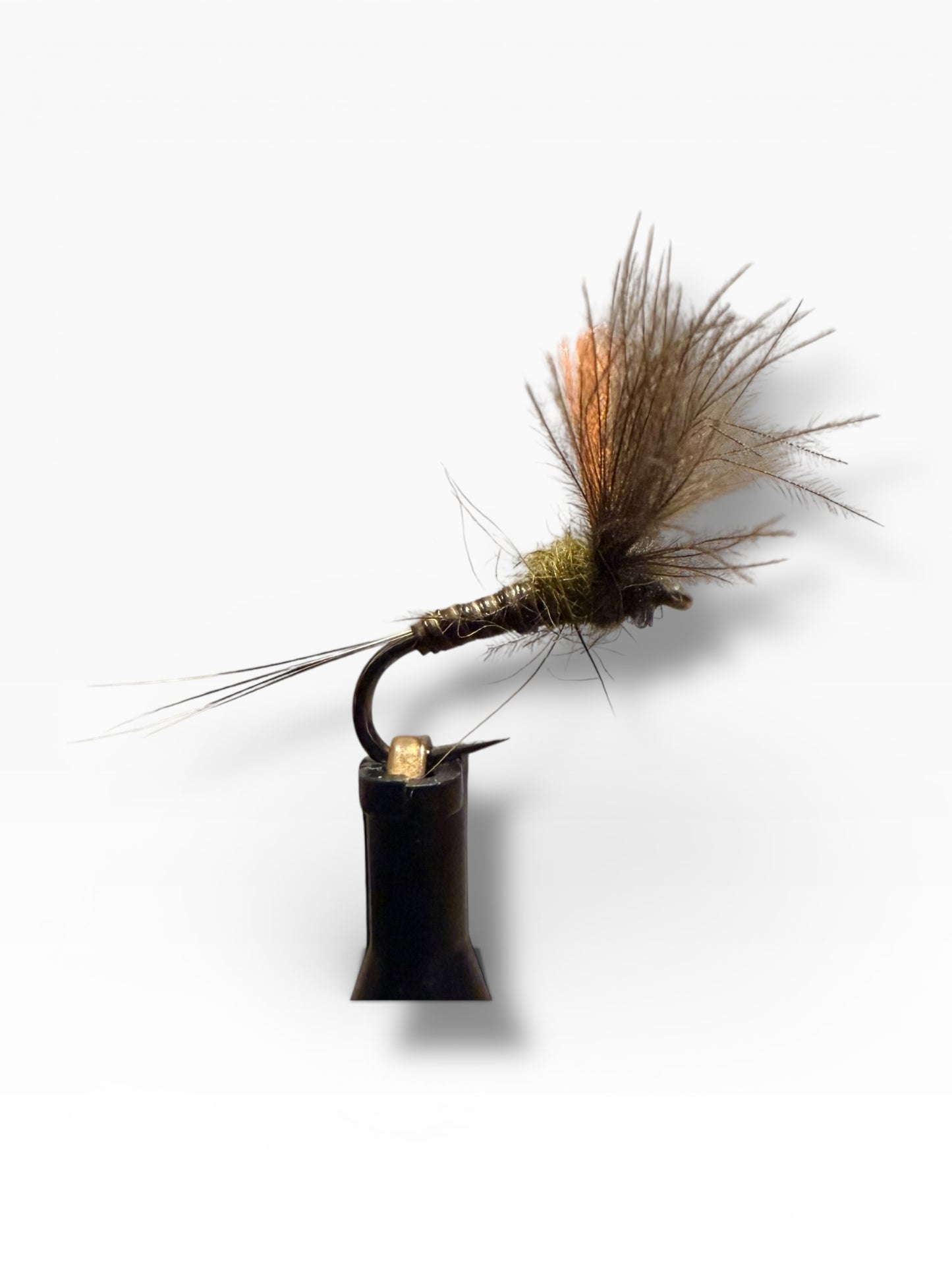 Quill’V Olive
