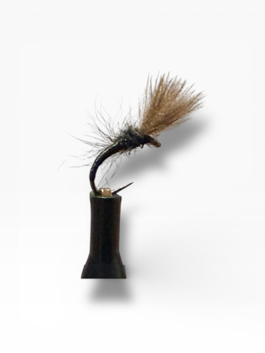 Émerger Black