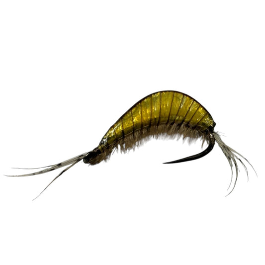 GT Yellow WILD FLY FISHING