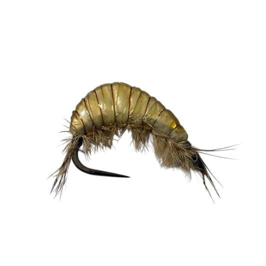 GT Cream WILD FLY FISHING