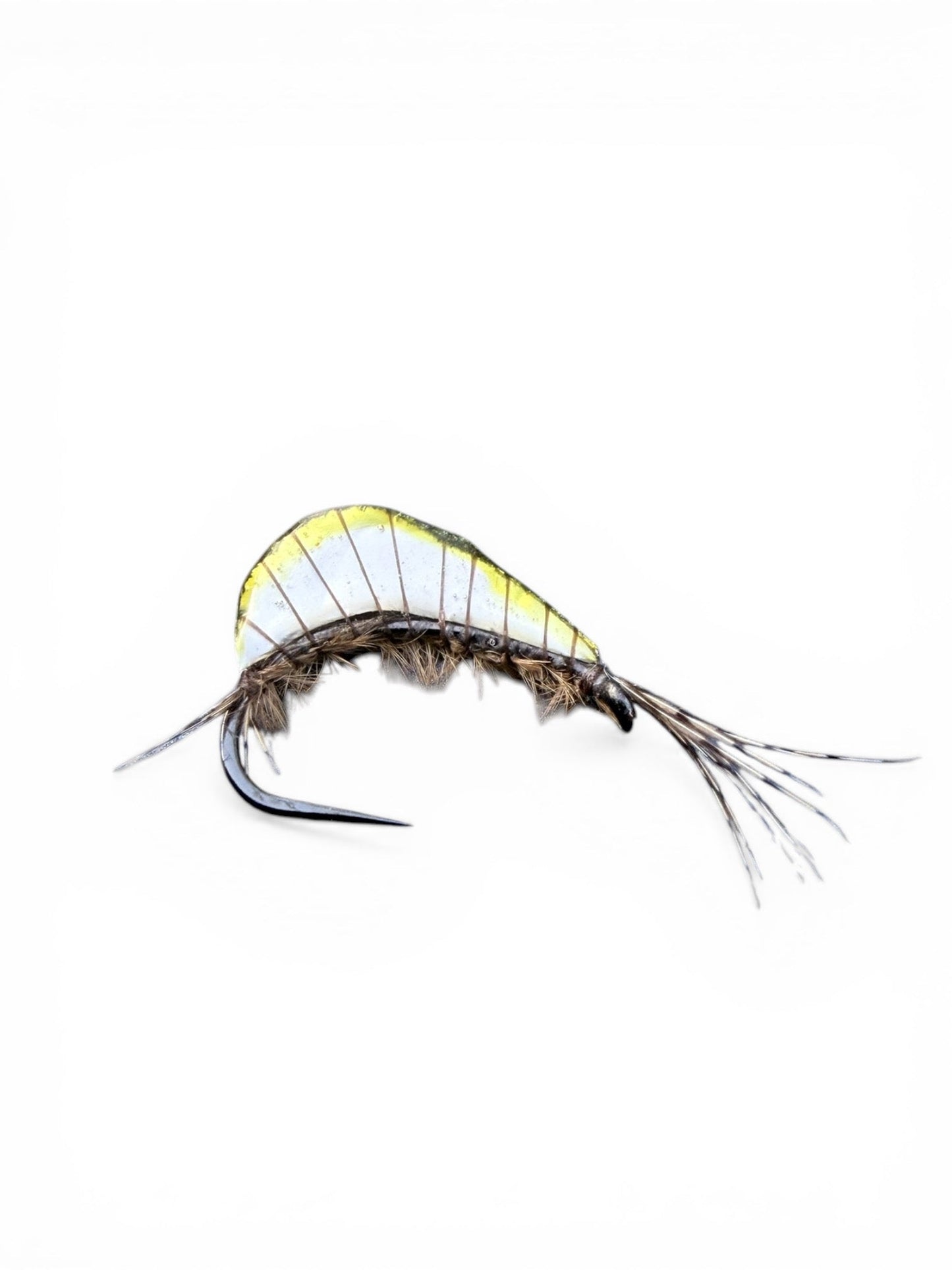 GT White olive WILD FLY FISHING