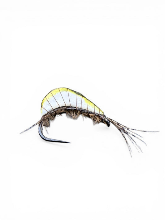 GT White olive WILD FLY FISHING