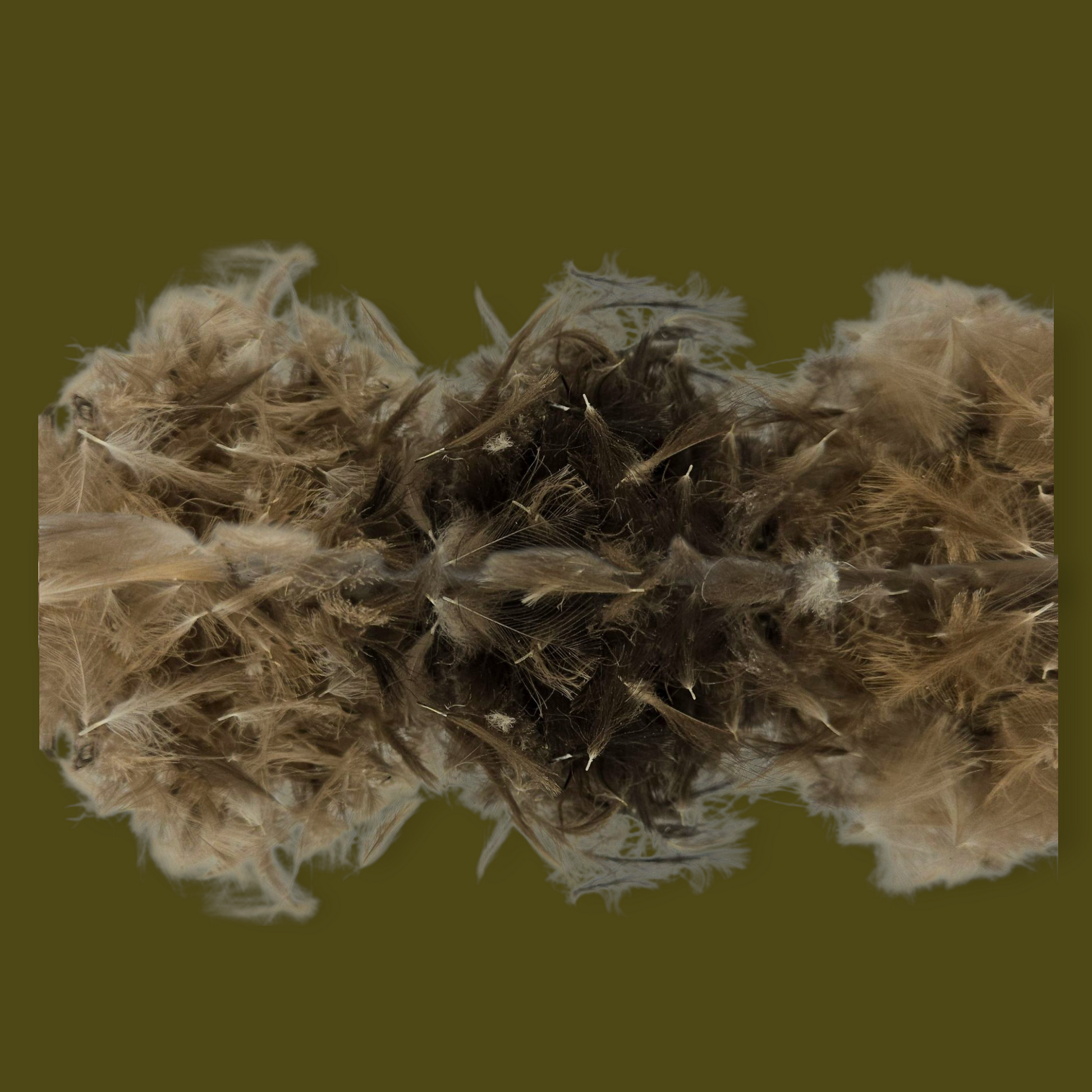 CDC Traité Ultra Dry WILD FLY FISHING